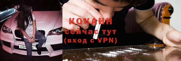 шишки Карпинск