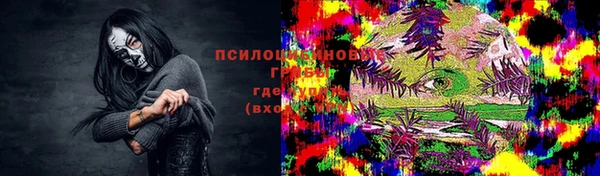 прущая мука Арсеньев