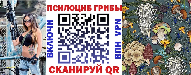 Галлюциногенные грибы мицелий  хочу   Свирск 